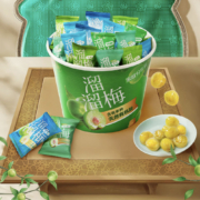 溜溜梅 全家桶480g*2件