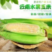 需首单：中鲜生 云南水果玉米 新鲜甜玉米 5斤 【净重】约5-8根