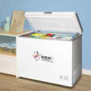 限移动端、京东百亿补贴：Polar bear 北极熊 BEIJIXIONG）小冰柜家用小型冷冻保鲜迷你冷藏