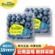 怡颗莓 当季云南蓝莓 Jumbo超大果国产蓝莓125g*2盒