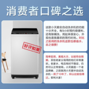 小天鹅（LittleSwan）10公斤波轮洗衣机全自动 家用节能宿舍租房 除螨内桶健康免清洗 品质电机TB100V23H-1