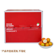 都乐Dole 广西金桔 一口一爆汁 500g 简装
