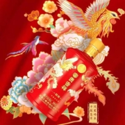 88VIP：五粮液 富贵吉祥 精致52度 500ml*2瓶