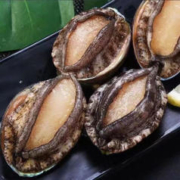 鲜闻果 海鲜大鲍鱼 1斤装 （6-8头鲍）