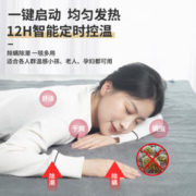 MELING 美菱 电热毯单人双人床双控除潮除湿烘被家用褥子学生宿舍父母安全
