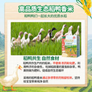 GRANDPA'S Farm 爷爷的农场 婴幼儿稻鸭香米米饼