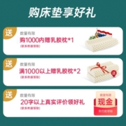 NITTAYA 妮泰雅泰国进口天然乳胶床垫榻榻米床垫床褥双人折叠橡胶可定制 (95D-10cm厚)实付满1千+2个枕头 150*200