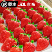 再降价：田良季 红颜99奶油草莓 3斤装 特大果（单果20-25g）
