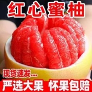 绿森客 贵州新鲜红肉蜜柚 7斤