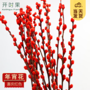 开时果 银柳真花【45cm】30枝