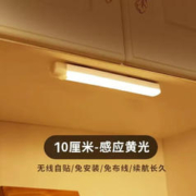 鸿视 LED感应灯 10cm