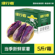 GREER 绿行者 山东红蜜番薯紫薯 5斤