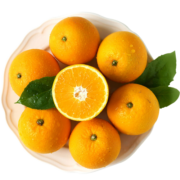 京鲜生 重庆奉节脐橙/橙子5kg装 单果230g起 新鲜水果年货礼盒