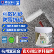 CARPOLY 嘉宝莉 墙固地固界面剂防霉加固剂内墙固沙宝增强基层抗碱防潮固化剂 1kg 送工具