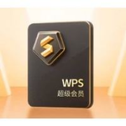 WPS 超级会员 4年卡+赠28天