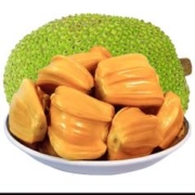 美得乐 越南红肉菠萝蜜 13-14斤