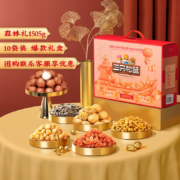 三只松鼠坚果大礼包 年货佳礼-森林礼10袋装/1505g *2件