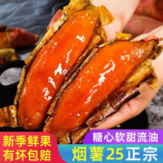 新鲜烟薯25 烤地瓜红薯山芋 沙地番薯糖心流油 中果5斤装