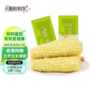 天勤粒粒净 有机小香糯玉米 鲜食玉米棒 甜粘低脂食品代餐 8支*180g 年货送礼