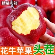 御品一园 天水花牛苹果新鲜水果精品大果甜粉糯香甜4.7斤