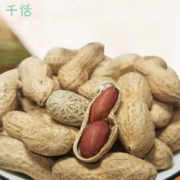 2斤的！炒花生农家铁锅炒花生炒货零食