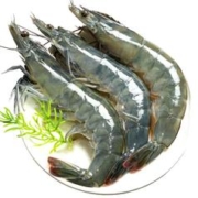 虾有虾途 国产青岛大虾 4斤装