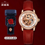 海鸥（SEAGULL）手表女士自动机械表 女表送女友礼物 镂空腕表 719.403LK(红)