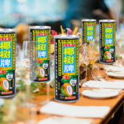 椰树 正宗椰树牌椰汁245ml*24罐旗舰海南年货礼盒椰子汁椰奶店果汁饮料