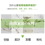 雷烁墙固界面剂防潮防霉墙面加固剂混凝土固沙剂 起沙处理剂拉毛墙固 黄色9kg(可刷70-90平)