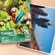 TANGO 天章 新绿天章6寸相纸180g高光相片纸照相纸 6寸喷墨照片打印纸 20张/包