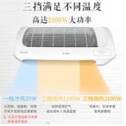 GREE 格力 NBFC-X6021 器壁挂式取暖器 白色