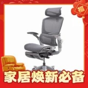 17日20点：YANXUAN 网易严选 探险家系列 D1 星舰3D腰靠电脑椅 灰色