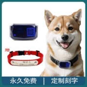 哆咯和咔特 狗狗猫咪宠物定位颈圈 4G红色 S