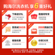 海尔(Haier)波轮洗衣机全自动 直驱变频 10公斤大容量 蝶型水流超净洗 EB100B20Mate1 10KG波轮