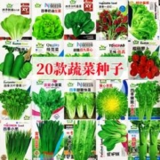 昊兰诺 蔬菜种子四季播种阳台农家盆栽香菜菠菜生菜韭菜小葱萝卜籽孑大全