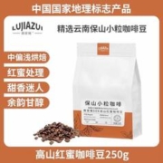 鹿家嘴 精品SOE咖啡豆250g拍两袋 中偏浅烘焙阿拉比卡