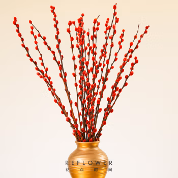 REFLOWER 花点时间 20枝红色银柳 60cm