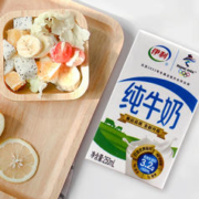 纯牛奶250ml24盒整箱学生成人营养早餐奶