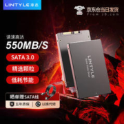LINTYLE 凌态 X12 固态硬盘 SATA3.0 256GB