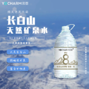 Yocharm 云臣 长白山饮用天然矿泉水 5L*4桶