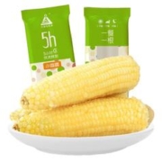 天勤粒粒净 有机小香糯玉米 8支*180g
