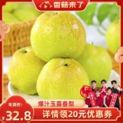 帮农日记 山西玉露香梨整箱5斤（净重4.5斤）