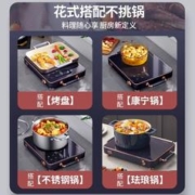 EdenPURE 宜盾普 美国宜盾普家用电陶炉大功率电磁炉多功能料理锅火锅炒菜锅电池炉