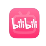 bilibili 哔哩哔哩 电视端大会员年卡 支持电视端