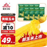 柴火大院 五常鲜食玉米 甜糯玉米 黄糯玉米*8