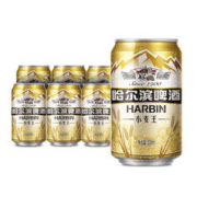 88VIP会员：哈尔滨啤酒 小麦王啤酒