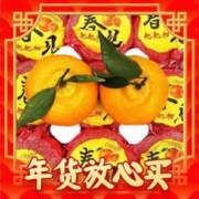 爆卖年货：超级秒杀！正宗四川春见耙耙柑 10斤装 精选果王 80mm-100mm