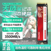 CHUJI 储技 适用华硕天选固态硬盘1t专用2/3/4/puls笔记本PCIE高速NVME协议SSD扩展m.2接口 512G 天选PCIe3.0