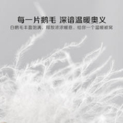 88VIP会员：BLISS 百丽丝 水星百丽丝家纺7A级抗菌鹅毛被保暖冬被家用被子被芯床上用品