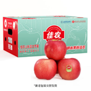 京东百亿补贴:佳农烟台红富士苹果 5kg装 特级果 单果240g 礼盒装 新鲜水果